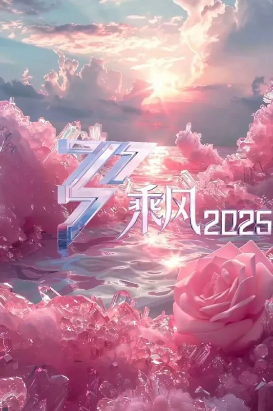 乘风2025/乘风破浪的姐姐第六季（2025）net 网络资源