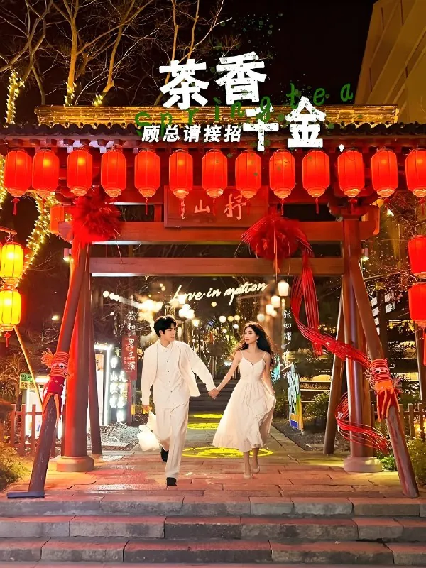 茶香千金顾总请接招net 网络资源
