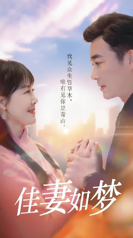 佳妻如梦net 网络资源