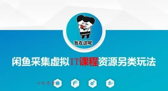 闲鱼采集虚拟IT课程资源另类玩法net 网络资源