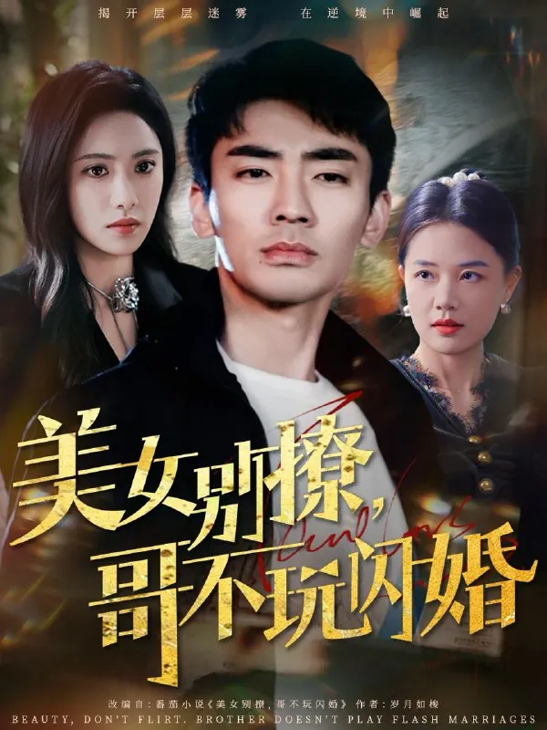 美女别撩，哥不玩闪婚net 网络资源