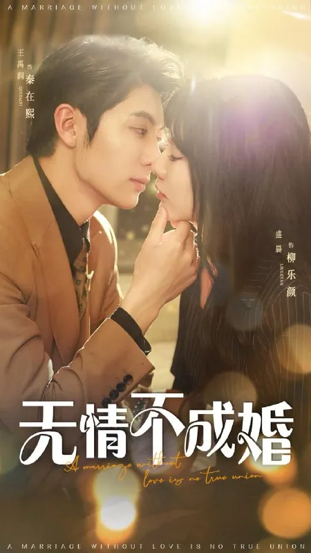 无情不成婚net 网络资源
