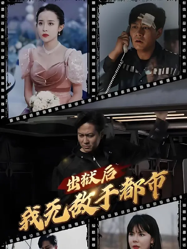 出狱后我无敌于都市net 网络资源