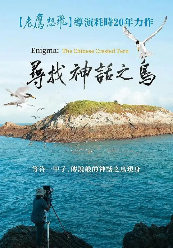 寻找神话之鸟net 网络资源