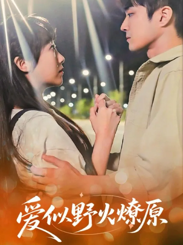 爱似野火燎原net 网络资源