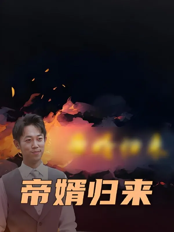 帝婿归来net 网络资源