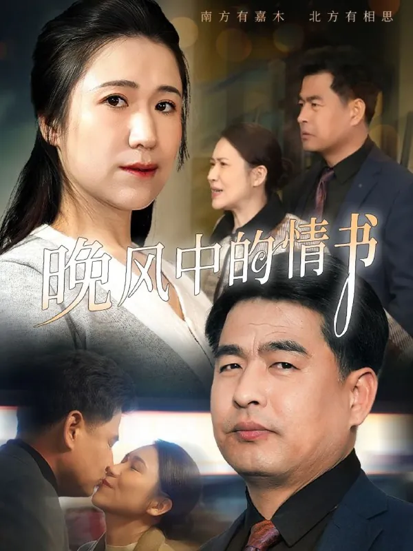 晚风中的情书net 网络资源