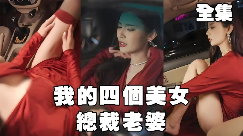 我的四个美女总裁老婆net 网络资源