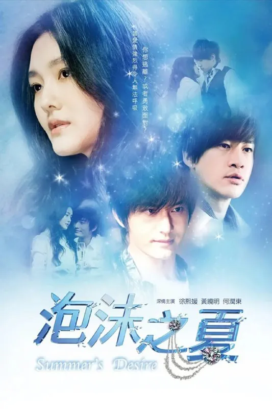 泡沫之夏2010net 网络资源
