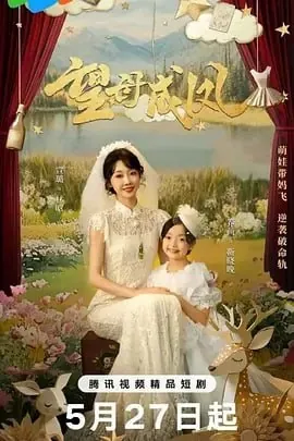 望母成凤[2025]net 网络资源